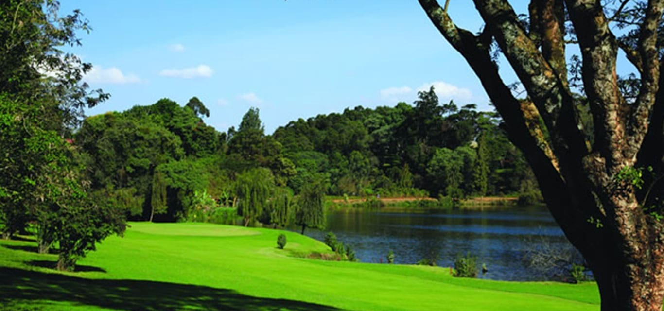 brackenhurst area attractions
