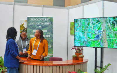 As Africa’s MICE Economy Grows, the Most Valuable Venues May Not Be the Trendiest